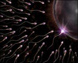 Привлекательные мужчины выделяют меньше спермы