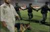 В Багдаде впервые за шесть лет поиграли в футбол (ФОТО)