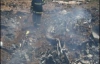 170 пассажиров самолета Ту-154 стали пеплом (ФОТО)
