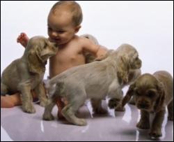 Маленькие дети способны понимать собак 