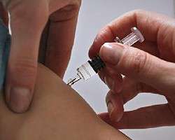 240 добровольцев будут тестировать вакцину против свиного гриппа