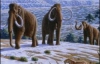 Метеорит уничтожил карликовых мамонтов и 54 вида животных - ученые