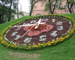 В центре Киева установят 20-метровые цветочные часы