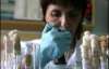 Свиной грипп в России набирает обороты