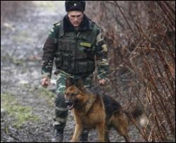 На українсько-румунському кордоні озброєні контрабандисти вчинили опір