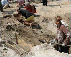 В Харьковской области найдена тысячелетняя сабля и языческие амулеты