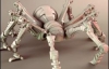 Воссоздали трехмерную модель пауков, живших на Земле 300 млн лет назад
