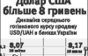 На курс долара найбільше впливають настрої людей