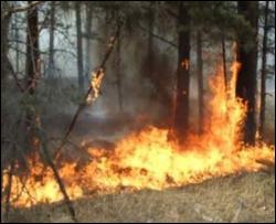 У Севастополі два дні борються з лісовою пожежею