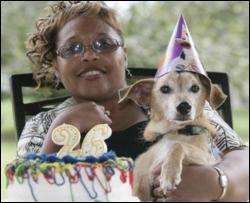 Найстаріший собака дожив до 182 &amp;quot;людських&amp;quot; років (ФОТО)