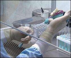 Российские врачи готовы испытать лекарства от свиного гриппа на людях