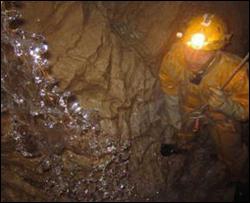 Украинские шахты ожидает масштабная проверка