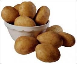 Тернополянин виростив півтора кілограмову картоплину