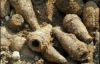 На українському полігоні злодії викопували із землі боєприпаси