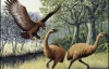 Учені: Гігантський птах-людожер існував
