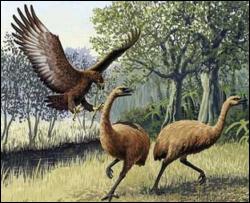 Учені: Гігантський птах-людожер існував
