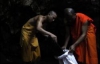 Монахи заробляють $5000 на посліді кажанів (ФОТО)