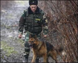 Пограничники обнаружили 11 нелегалов из Афганистана, которые прятались в кустах