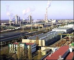 Тигипко страшно от того, что ОПЗ могут отдать россиянам