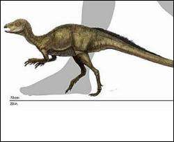 Найден самый маленький динозавр Северной Америки
