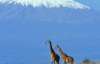 Кіліманджаро позбудеться льодовикового щита