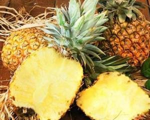 Кокаин на $40 млн нашли в партии эквадорских ананасов 