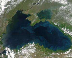 Черное море станет самым грязным в мире - экологи 