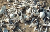 Знайшли засипане пісками перське військо