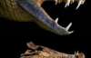 Мільйони років тому в Сахарі мешкали крокодили (ФОТО)