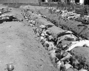 Солдаты Южной Кореи казнили 5 тысяч своих соотечественников