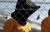 Эстония не примет узников Гуантанамо