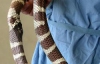 Змія проковтнула власний хвіст (ФОТО)
