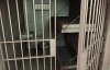 Уряд виділив тюрмам 239 мільйонів гривень