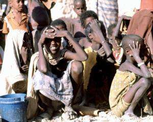 Від вибуху міни в Ефіопії загинуло 6 дітей
