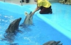 Дельфинарий на тысячу зрителей открыли в Донецке