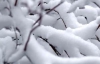У передноворічні дні в Україні буде сніг і сильний вітер
