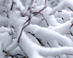 В предновогодние дни в Украине будет снег и сильный ветер