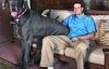 Самая большая собака съедает 50 килограммов корма в месяц