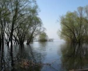 На Херсонщині підтоплені вже 2173 будинки
