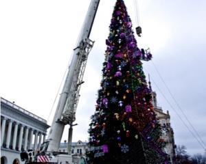 В Киеве нет денег, чтобы убрать главную елку страны