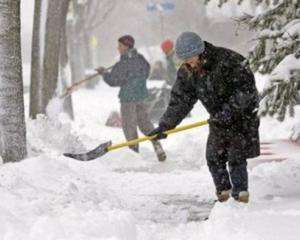 Студенти самі просяться прибирати сніг - Голубченко