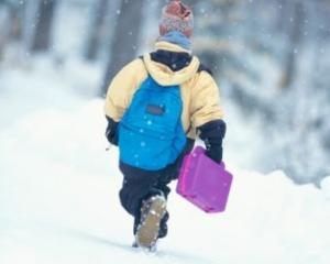 Из-за сильных морозов в Украине не работают школы