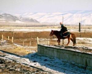 Монголия страдает от 40-градусного мороза