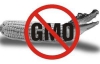 Маркировки "Без ГМО" предлагают отменить