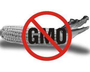 Маркировки &quot;Без ГМО&quot; предлагают отменить