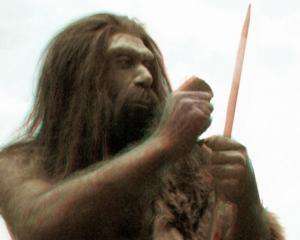 Период неандертальцев на Земле сократили на 9 тысяч лет