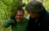 Попугая-извращенца назначили спикером в Новой Зеландии (ВИДЕО)