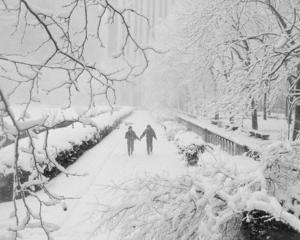 Найближчими днями Україну завалить снігом