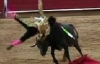 В Колумбии бык поднял на рога 11-летнего матадора (ВИДЕО)