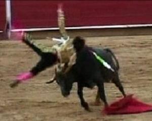 В Колумбии бык поднял на рога 11-летнего матадора (ВИДЕО)